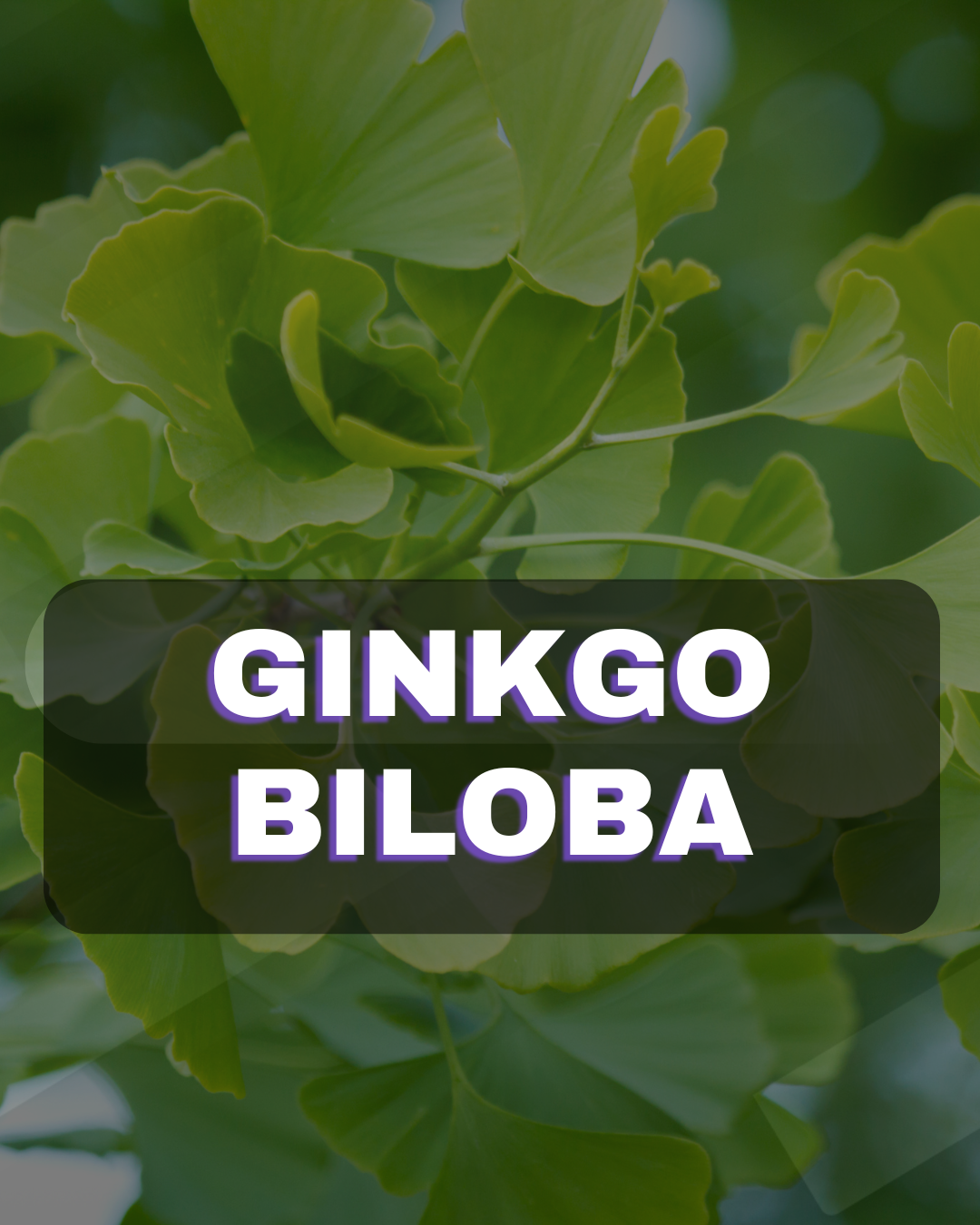 Sem nome (1080 x 1350 px) (22)